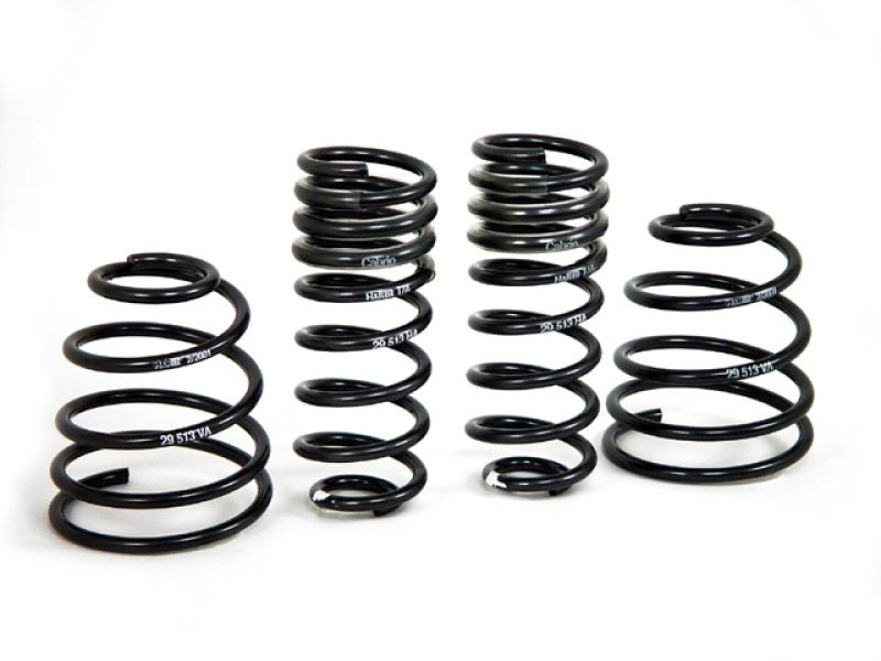 H&R Sport Springs for 1998–2004 Porsche 911/996 C2 (2WD) Cabrio/Targa (29513-2)