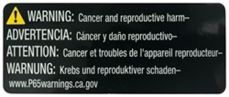 AEM 2018 C.A.S Kia Stinger V6-3.3L F/I Cold Air Intake (aem21-849DS) - photo 8