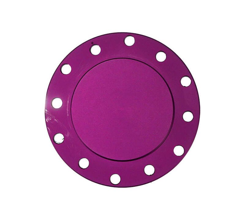 NRG Horn Delete Plate Flush Fitting - Purple (STR-150PP)