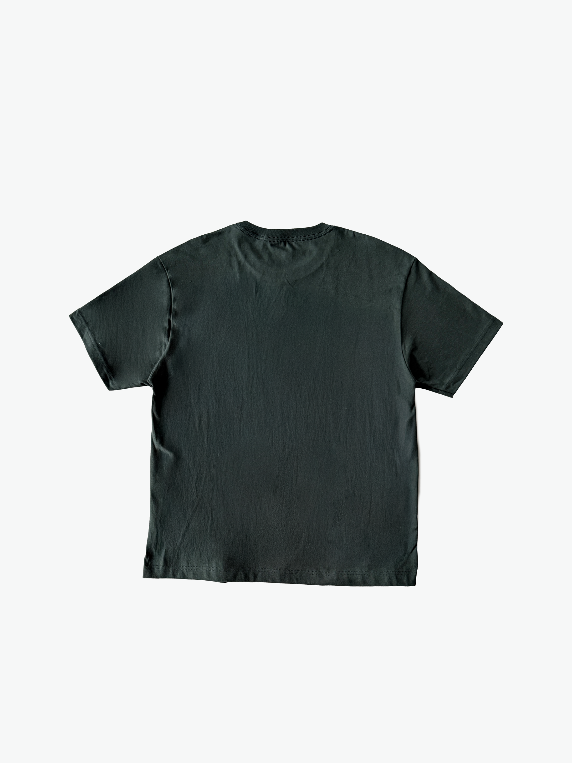 Classic Logo Heavyweight T-Shirt - Green