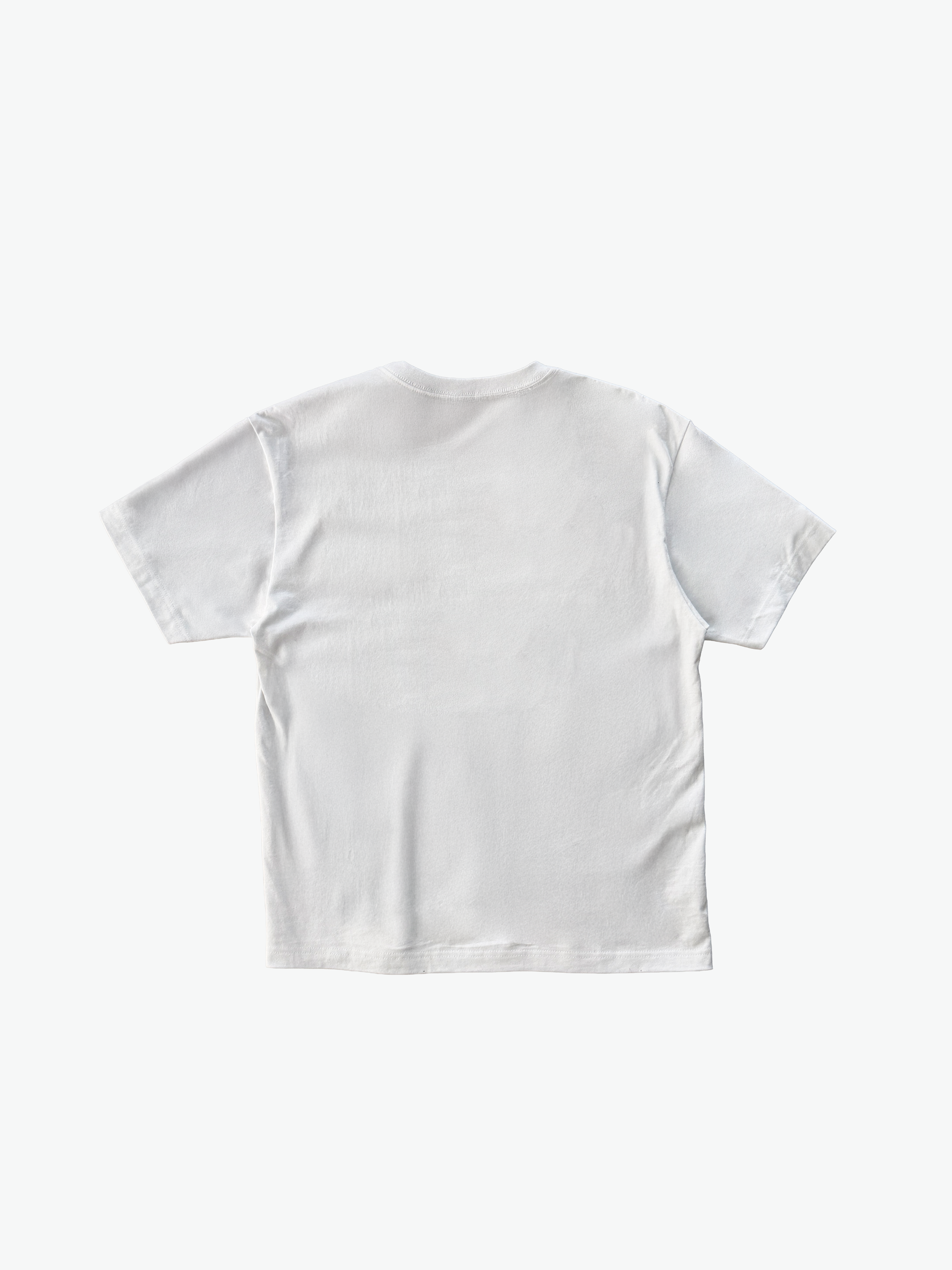 Classic Logo Heavyweight T-Shirt - White