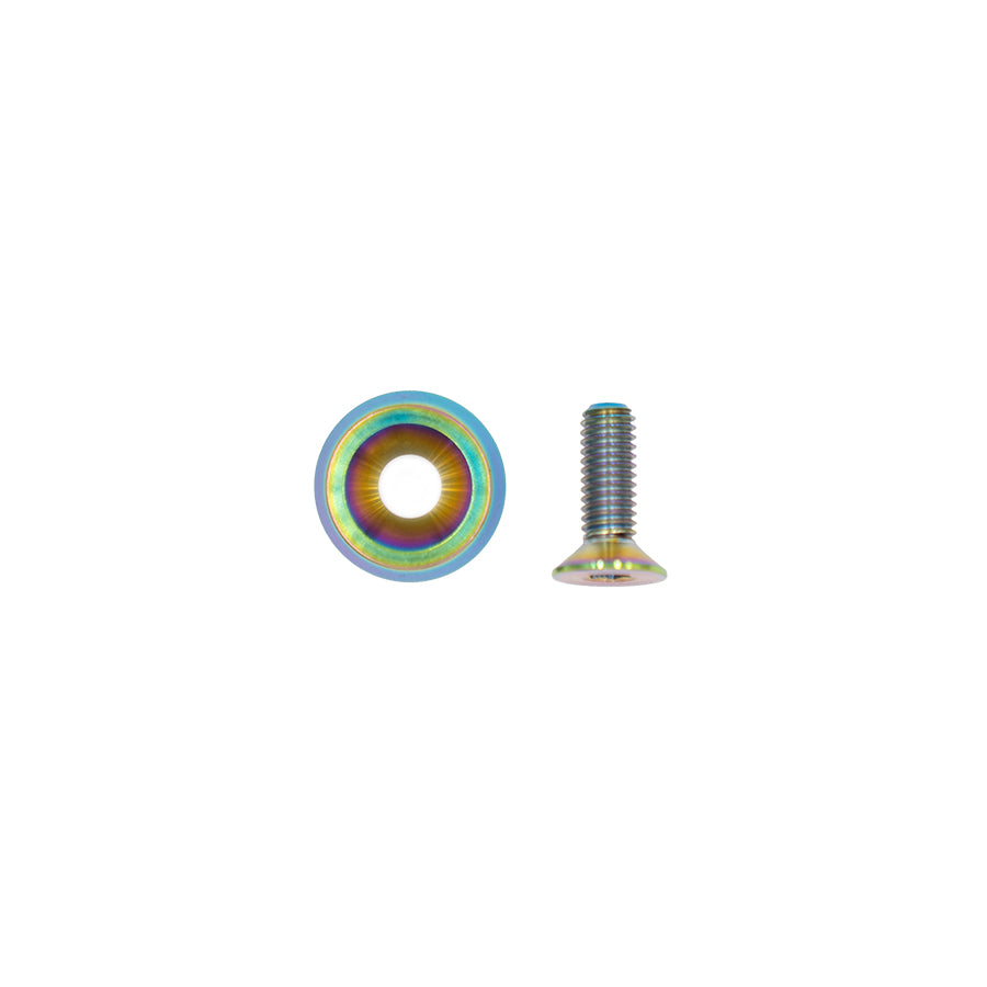 EVS Tuning Titanium License Plate Bolts M6 (Pair) - photo 8