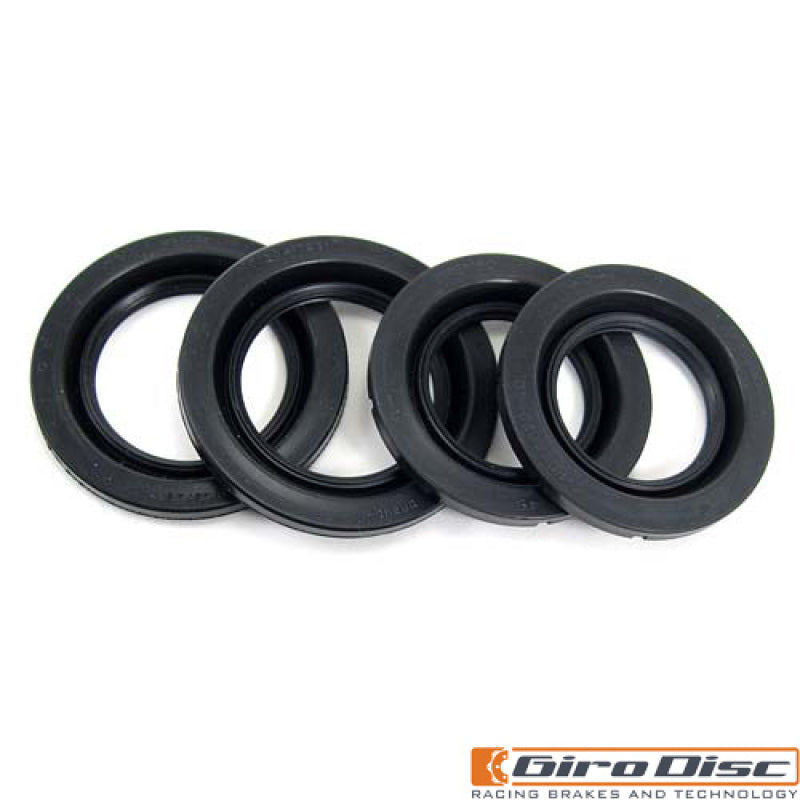 GiroDisc girCDB2-024