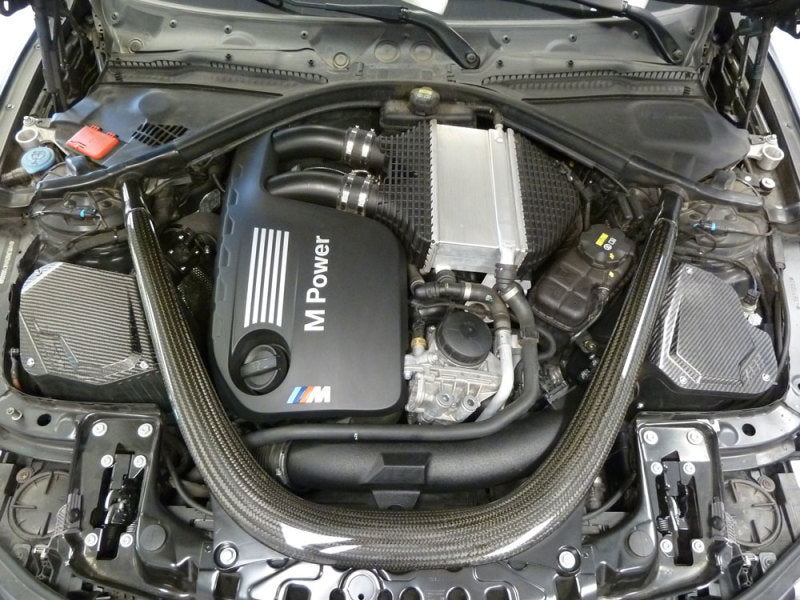 AEM 2015-2020 BMW M3 S55 3.0L L6 TT Cold Air Intake System (aem21-881DS) - photo 4