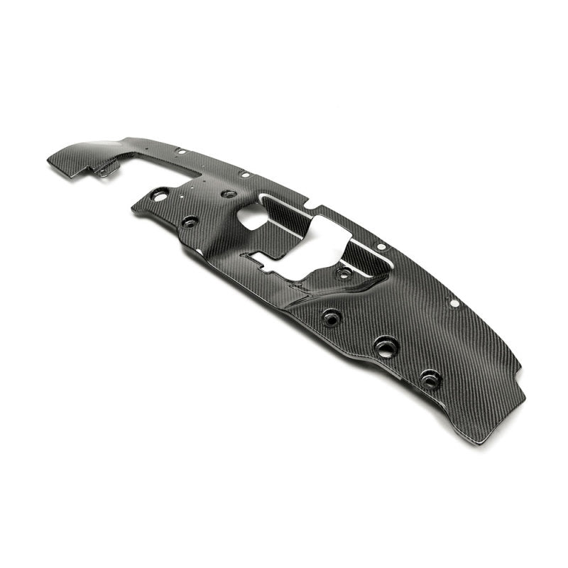 Seibon 2017-2018 Honda Civic Type R FK8 Carbon Fiber Cooling Plate - photo 2