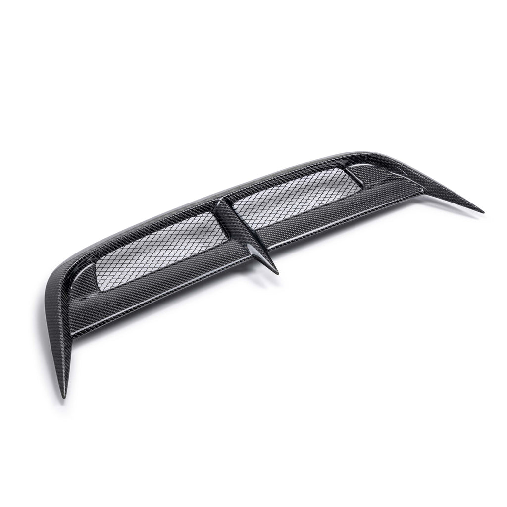 Seibon 2023-2024 Honda Civic Type R CW-Style Carbon Fiber Hood Vent - photo 2